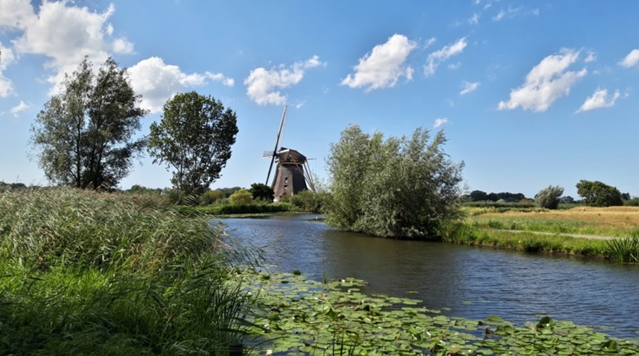 5 prachtige wandelingen in en rond de stad